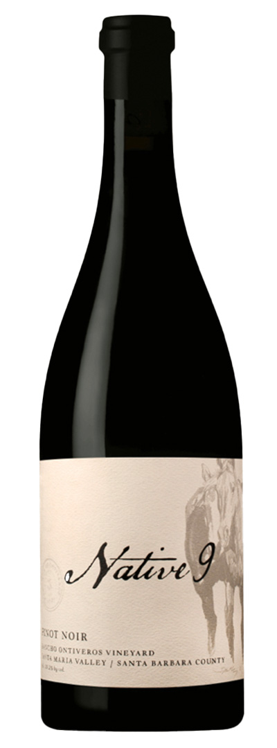 ハイド・ド・ヴィレーヌ イグナシア ピノ・ノワール カーネロス 2016 Amazon.co.jp: ハイド・ド・ヴィレーヌ 赤ワイン ハイド・ド